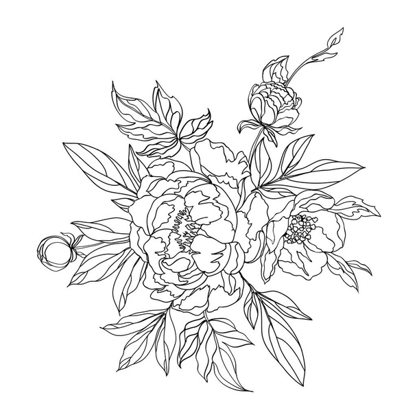 Floral arrangement of blooming peonies for decorating a greeting cards. Vector illustration of floral bouquet. - Vector, Image
