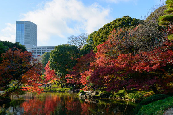 Jardim Koishikawa Korakuen no outono em Tóquio
 - Foto, Imagem