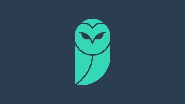 Turkusowa ikona Sowy izolowana na niebieskim tle. Symbol zwierzęcia. 4K Animacja graficzna ruchu wideo - Materiał filmowy, wideo