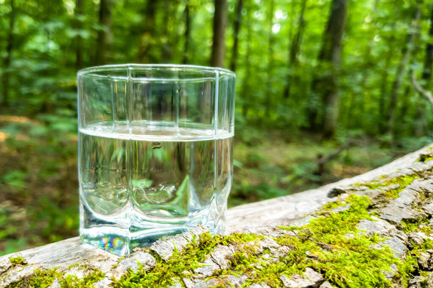 Un bicchiere di acqua limpida su uno sfondo verde naturale nella foresta. Concetto di uno stile di vita sano - Foto, immagini