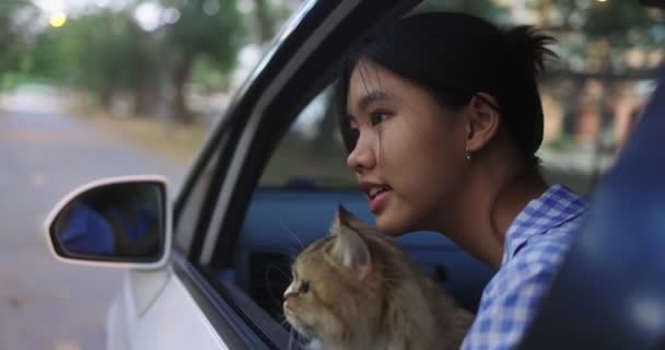 Mooi aziatisch meisje houdt een kat op haar schoot in de passagier stoel van een auto rijden en kijk uit het raam samen. - Video