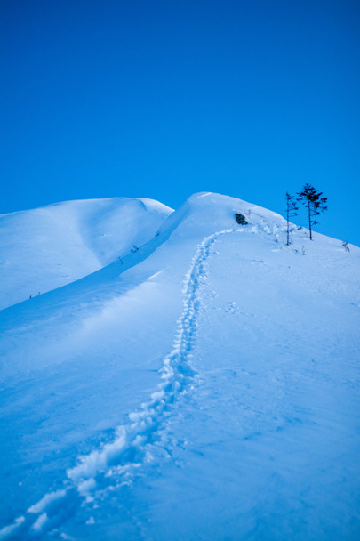 Hermoso paisaje de montaña en invierno en un día frío a gran altitud - Foto, imagen