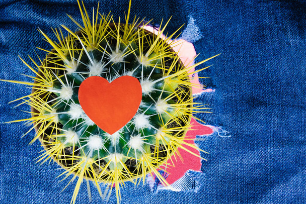 Cactus con un corazón rojo en el fondo de pantalones de mezclilla rotos. Amor y romance. Relaciones complejas. Tarjeta de San Valentín. - Foto, imagen