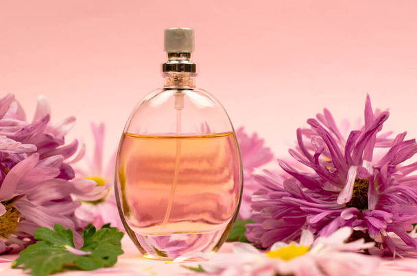 Pembe arka planda kadın parfümü ve çiçekler - Fotoğraf, Görsel
