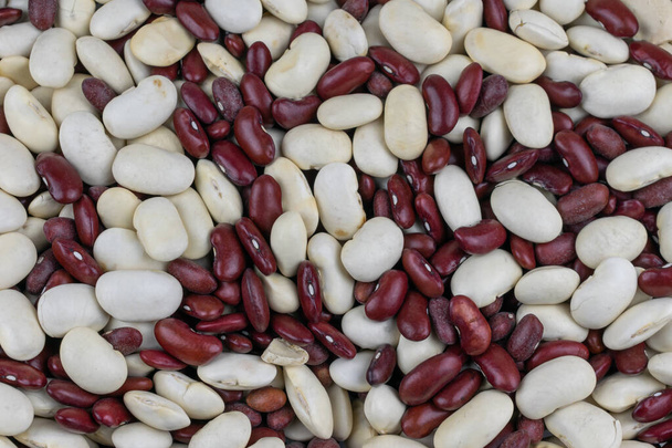 mixed white and red beans. background or texture\ - Photo, Image