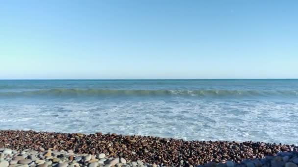 surfen op het stenen strand - Video