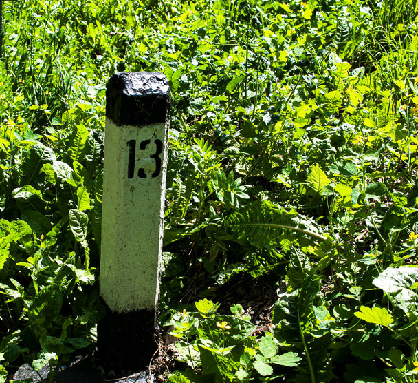 Railway roadside post. On the pillar number thirteen. Close-up on a background of green grass. - Foto, Imagen
