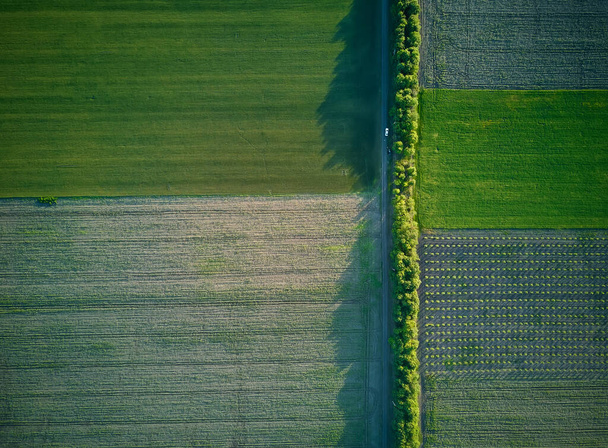 Aerial view over the agricultural fields - 写真・画像