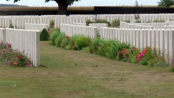 Cementerio en el Memorial Nacional Canadiense de Vimy, Monumento a la Primera Guerra Mundial en Francia. - Imágenes, Vídeo