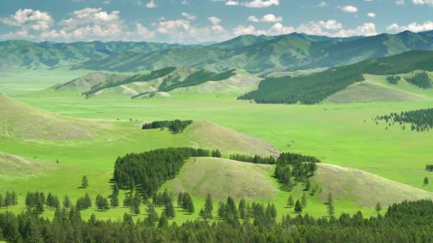 Green meadows in the sparsely wooded between forest covered hills.Woodland wood tree boreal temperate forestry sylvan grove taiga pine beech clearance sparse mountain higher elevation terrain geography topography slope ridge hilly hill grassland 4K. - Footage, Video