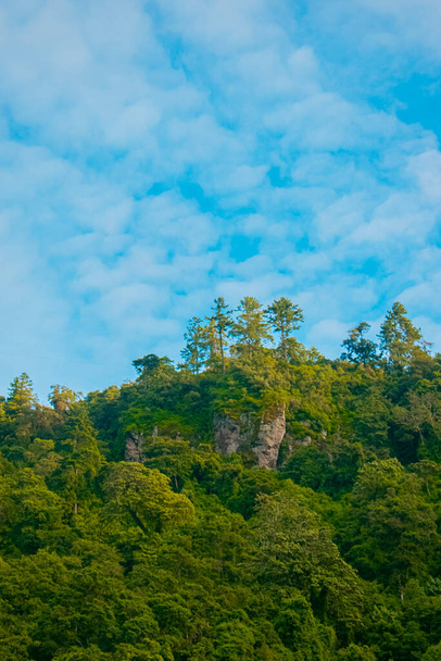 hill and peak with mountain trees - Photo, Image