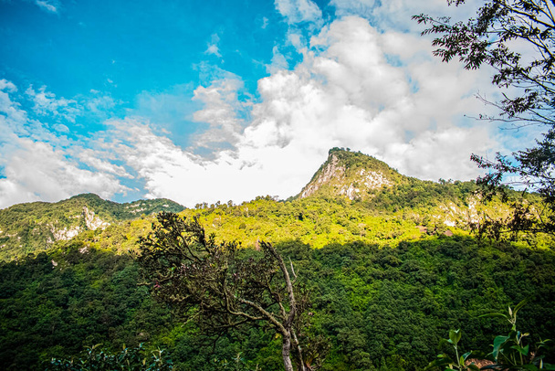 kopec se zelenou džunglí - Fotografie, Obrázek