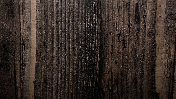Walnut texture, chocolate-colored wood, walnut furniture fittings. Wood background - Photo, image