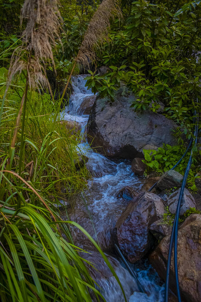 édes folyó sziklák és növények között - Fotó, kép