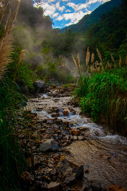 řeka mezi skalami s xela rostlin - Fotografie, Obrázek