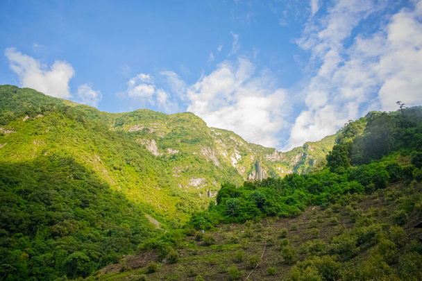 Yeşil ormanlı risco manzarası - Fotoğraf, Görsel