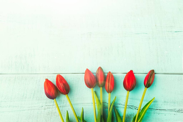 rode tulpen in een boeket op een blauwe effen achtergrond close-up - Foto, afbeelding