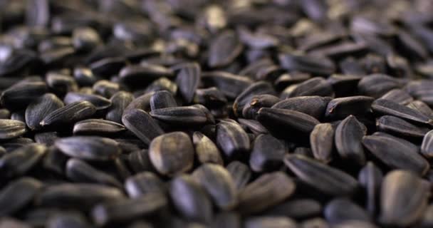 Close up vista de sementes de girassol preto frito em câmera lenta. - Filmagem, Vídeo