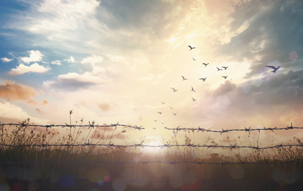 Ημέρα μνήμης του Ολοκαυτώματος (HMD) έννοια: Σιλουέτα των πουλιών που πετούν και αγκαθωτό σύρμα στο φόντο ηλιοβασίλεμα - Φωτογραφία, εικόνα