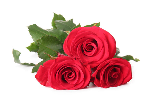 Ramo de hermosas rosas rojas sobre fondo blanco - Foto, imagen