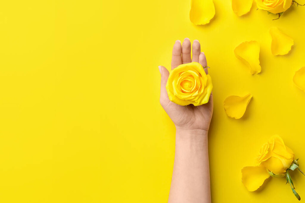 Hand with beautiful yellow roses and petals on color background - Foto, Imagen