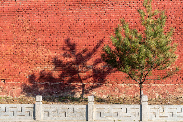 Vörös falak és zöld fák  - Fotó, kép