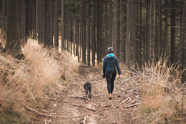 冬服の若い女性と犬のバルブ・チェックは早い時間に森を歩く。犬と男の間の信頼。静かでリラックスした雰囲気。セールシャンパンとライトコーラルのトーンを設定. - 写真・画像