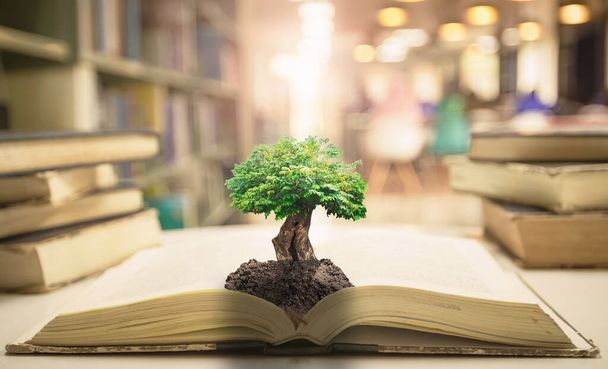 Conceito de dia do professor: Árvore grande com solo na abertura de livro antigo em fundo de biblioteca turva - Foto, Imagem