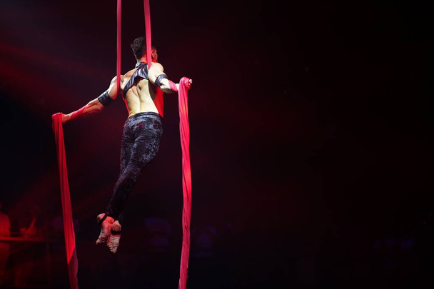 Brazilian strong sexy man do performance on aerial silks in red lights.  Sport training gym and lifestyle concept. - Photo, Image