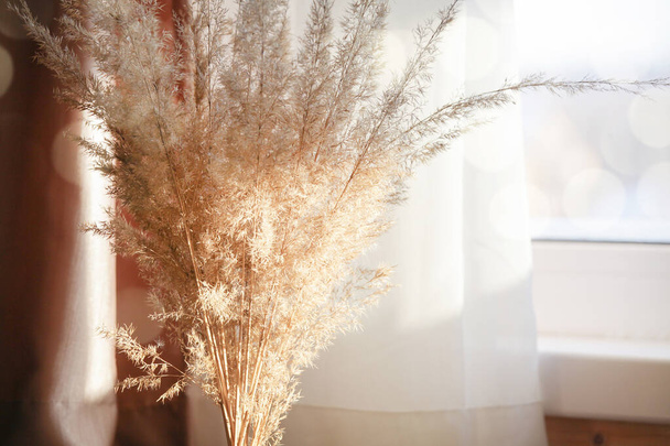 Pampas tráva u parapetu s bílými závěsy s bokeh a slunečním světlem. minimalistický pampa koncepce.Trendy Home Decor. selektivní zaměření - Fotografie, Obrázek
