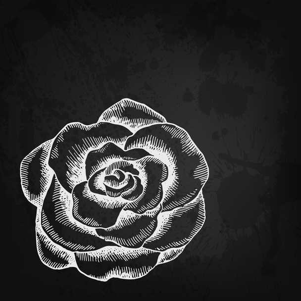 Vector card with hand drawn rose - Vecteur, image
