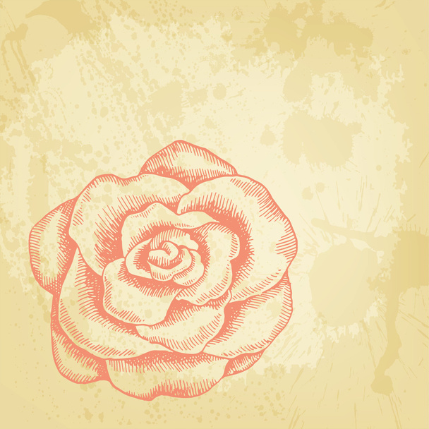 Artistic vector card with ink style rose - Vektör, Görsel