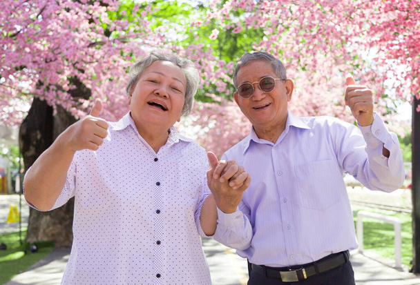happy asian granfather and granmother smiling with strong healthy in flower park - Photo, Image