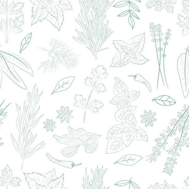 Seamless pattern with a set of spices and herbs. Vector Collection of hand drawn Spices and Herbs. Botanical plant illustration. Vintage Medicinal Herbs and plants.  - Vector, afbeelding