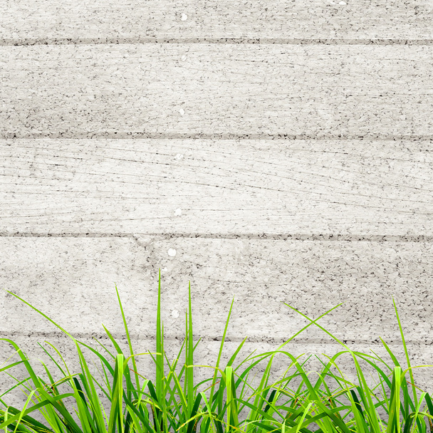 Fresh spring green grass over wood fence background - Photo, Image