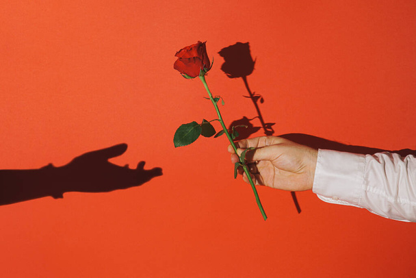 Vintage Valentine scene with male hand holding red rose and woman hand shadow against vibrant red background. Bright light. - Fotó, kép