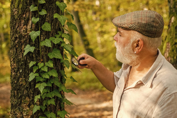 Research for nature protection. Old man use magnifying glass in nature. Senior person do forest research. Research activity. Research and discovery. Explore more - Photo, image