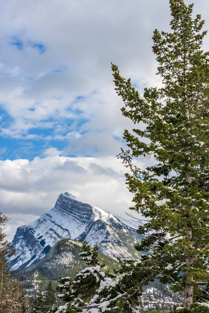 Snow-covered Mount Rundle with snowy forest. Banff National Park beautiful landscape in winter. Canadian Rockies, Alberta, Canada. - Фото, изображение