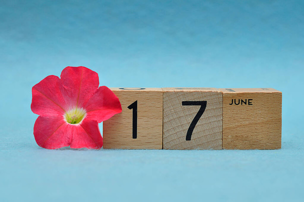 17 de junho em blocos de madeira com uma Petúnia sobre um fundo azul - Foto, Imagem