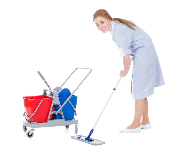 Female Maid Cleaning Floor - 写真・画像