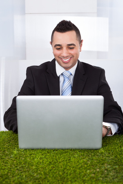 Businessman Using Laptop On Grass In Office - Foto, immagini