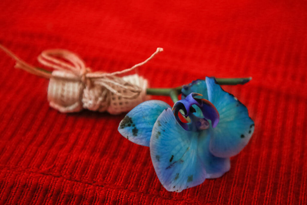 Bella orchidea blu Phalaenopsis con rami fiori. Bouquet da sposa di orchidea - Foto, immagini