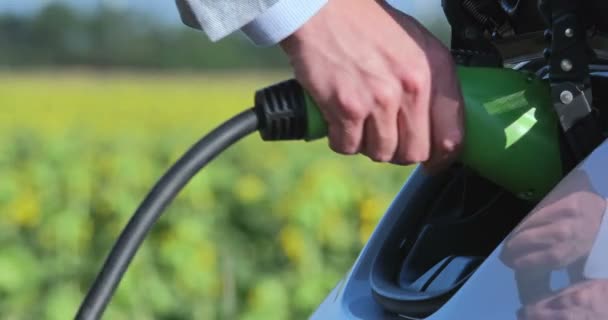 Ein Mann steckt ein Stromkabel in ein umweltfreundliches Elektroauto, das von der Seite gegen ein Feld mit Sonnenblumen aus dem Fokus gerät. - Filmmaterial, Video