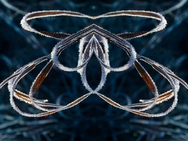 Struktura rime na listí, vzor ledu - Fotografie, Obrázek