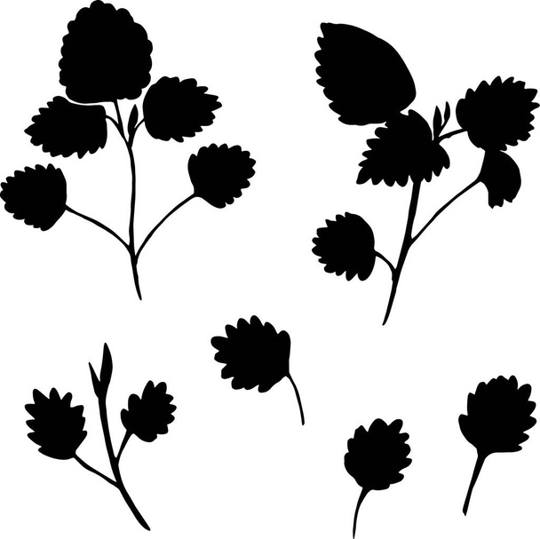 Set of black silhouettes of leaves and branches isolated on white background.  - ベクター画像