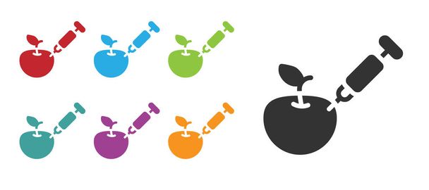 Schwarzes genetisch verändertes Apfelsymbol isoliert auf weißem Hintergrund. GVO-Früchte. Spritze, die dem Apfel gespritzt wird. Setzen Sie Symbole bunt. Vektor. - Vektor, Bild