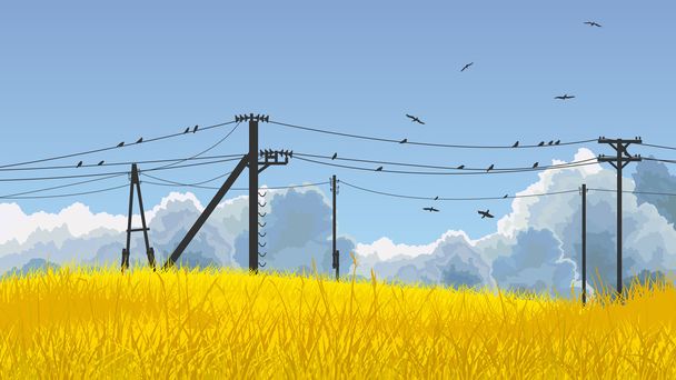 Ilustración vectorial de aves en el cielo y en la línea eléctrica
. - Vector, imagen