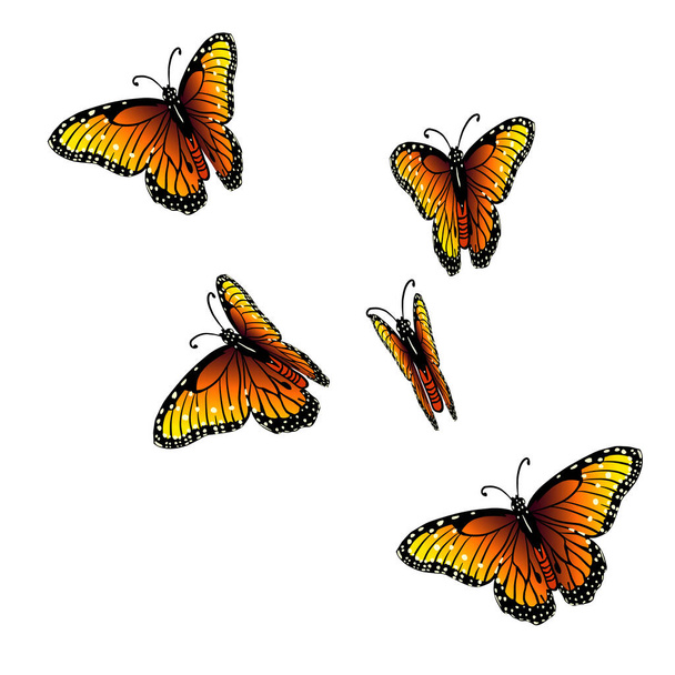 Πετώντας πορτοκαλί πεταλούδες. Εικονογράφηση διανύσματος - Διάνυσμα, εικόνα