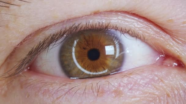 Extrém közelről, ahogy az Ember felnyitja a szemét. Gyönyörű kék zöld írisz és retina. Kaukázusi fiatal férfi modell kék, zöld, szürke szeme kamerába néz. - Felvétel, videó