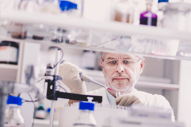 Senior male life scientist researching in the laboratory. - Photo, Image